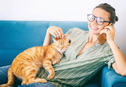 How-to-make-your-cat-live-a-happy-and-fulfilling-life Litter Healthy Limited