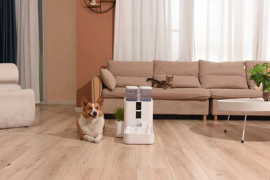 Do-pet-water-dispensers-need-to-be-cleaned-regularly Litter Healthy Limited