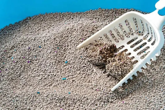 Analysis-of-cat-litter-clumping-How-much-do-you-know-about-cat-litter-pots-and-quality-selection Litter Healthy Limited