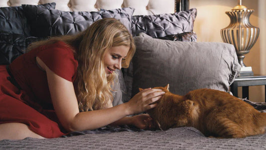 Intimate-moments-between-cats-and-their-owners-exploring-unique-emotional-bonds Litter Healthy Limited