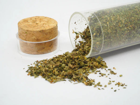 Catnip-and-Silver-Vine-Magic-Plants-for-Cats Litter Healthy Limited