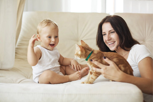 The-harmonious-coexistence-between-cats-and-new-family-members Litter Healthy Limited