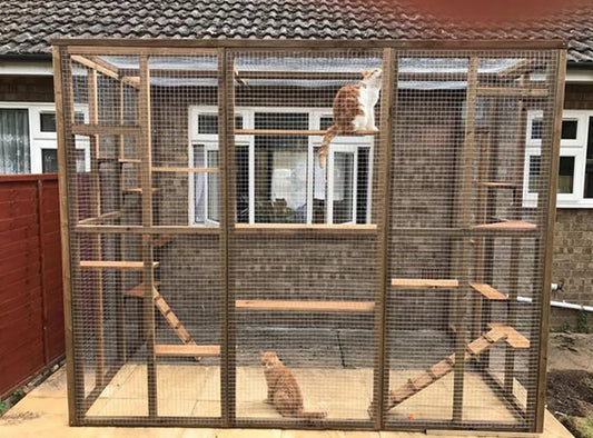 High-temperatures-are-coming-does-your-cat-need-a-cat-cage-to-escape-the-heat Litter Healthy Limited