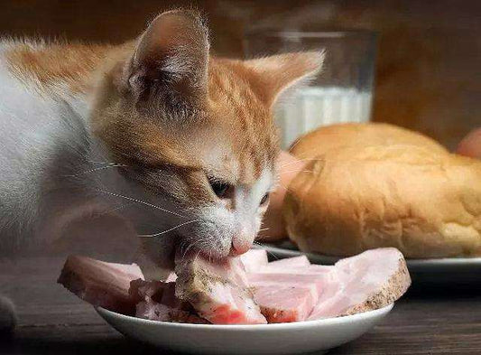 Uncovering-the-Secret-of-Cats-Taste-buds-Dry-and-Wet-Pairing-Full-Score-for-Health Litter Healthy Limited