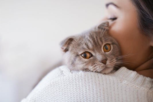 Guarding-the-Health-of-Meow-Star-Cognition-and-Response-to-Cat-Toxoplasmosis Litter Healthy Limited