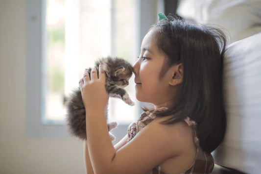 The-transition-of-the-kitten-season-from-worry-to-joy-beautiful-due-to-sterilization-and-adoption Litter Healthy Limited