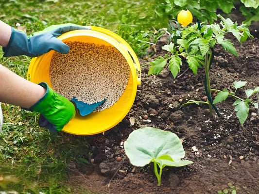 The-question-of-whether-cat-litter-can-be-used-as-fertilizer-for-plants-is-not-a-black-and-white-answer-but-needs-to-be-analyzed-based-on-specific-circumstances. Litter Healthy Limited