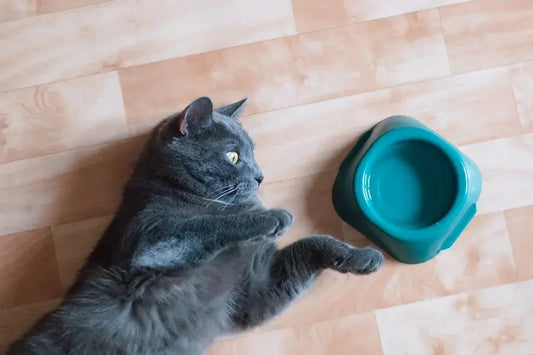 The-quality-of-cat-litter-is-related-to-the-health-of-cats-how-to-choose-the-appropriate-litter Litter Healthy Limited