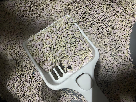 Is-it-better-to-use-cat-litter-with-a-smell-or-without-a-smell Litter Healthy Limited