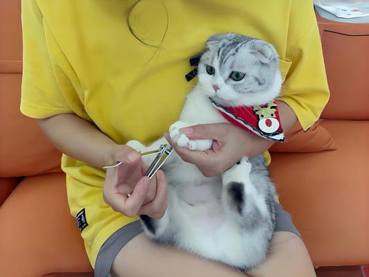 If-a-cat-s-nails-grow-very-long-they-need-to-be-trimmed.-There-are-several-reasons-to-support-this Litter Healthy Limited