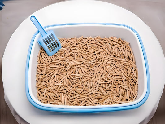There-are-indeed-various-other-uses-for-used-cat-litter-and-the-following-are-some-common-uses Litter Healthy Limited