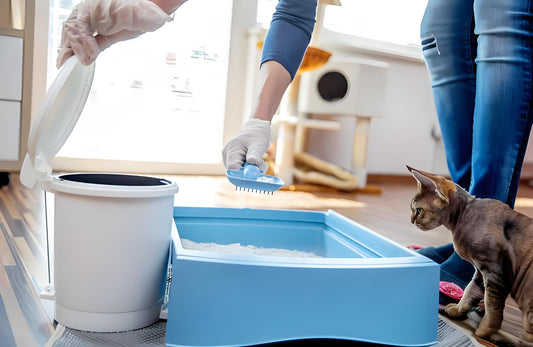 Cleaning-the-litter-box-is-an-important-step-in-maintaining-the-health-of-cats-and-keeping-the-home-environment-clean Litter Healthy Limited