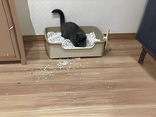 Here-are-some-effective-measures-to-avoid-the-problem-of-cats-always-leaving-litter-all-over-the-floor Litter Healthy Limited