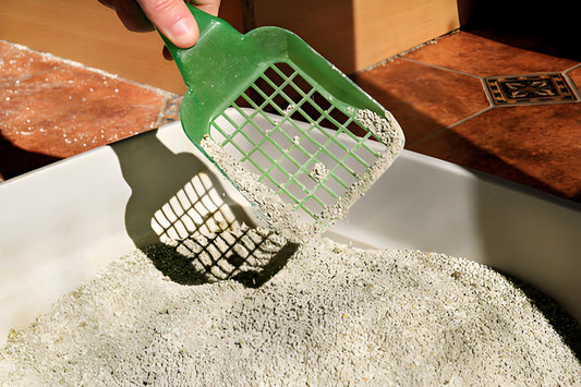 The-frequency-of-cleaning-the-litter-box-is-crucial-for-the-health-of-cats-and-the-comfort-of-their-living-environment. Litter Healthy Limited