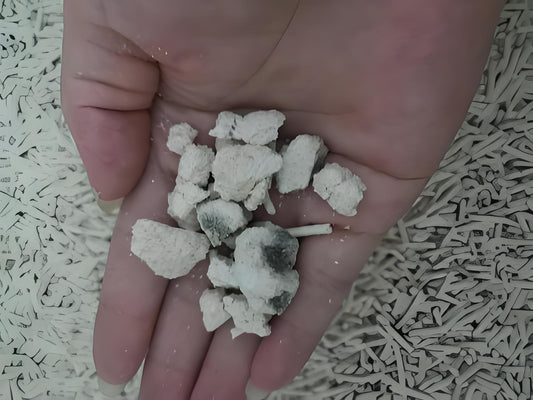 Whether-cat-litter-can-continue-to-be-used-after-being-damp-mainly-depends-on-the-degree-and-type-of-dampness.-Here-are-some-considerations Litter Healthy Limited