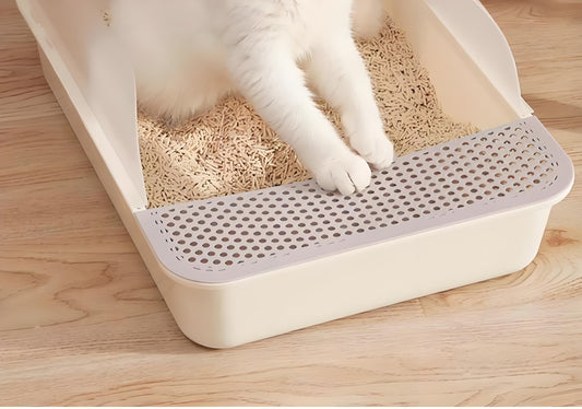 Cat-litter-box-the-little-world-in-cat-life Litter Healthy Limited
