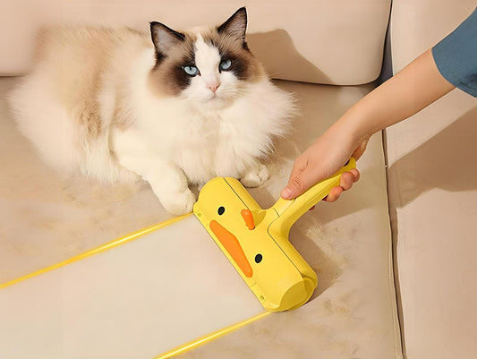 Keeping-pets-does-not-necessarily-require-the-use-of-pet-razors Litter Healthy Limited