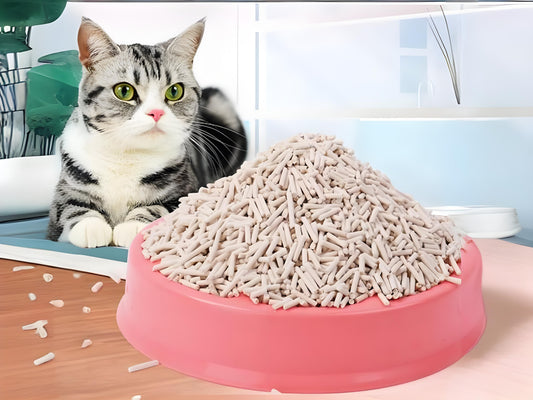 Is-it-necessary-to-use-cat-litter-companion-The-following-is-a-detailed-analysis-of-the-necessity-of-using-cat-litter-companion Litter Healthy Limited